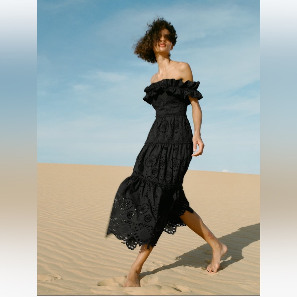 NWT ZARA EMBROIDERED MIDI DRESS